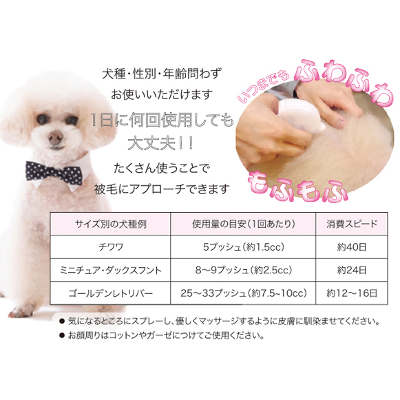 Scalp Dog スカルプドッグ Wankoショップ 犬用グッズ ドッグウェアの通販サイト Scalp Dog スカルプドッグ Wankoショップ 犬用グッズ ドッグウェアの通販サイト