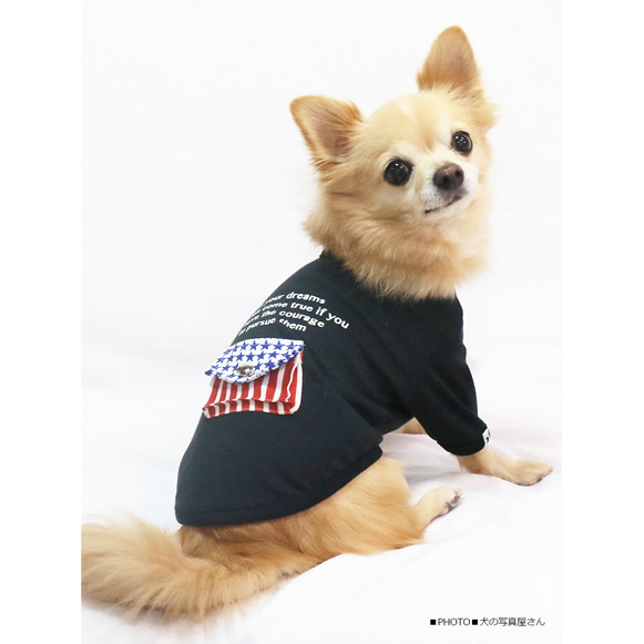 超消臭シリーズ【犬服・ドッグウェア】SWD・USAポケットTシャツ　ブラック/Coo Couture(クークチュール)