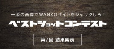 第7回WANKOベストショットコンテスト結果発表！