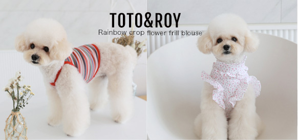 TOTO
