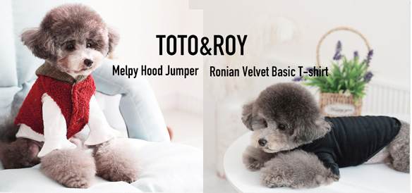 TOTO